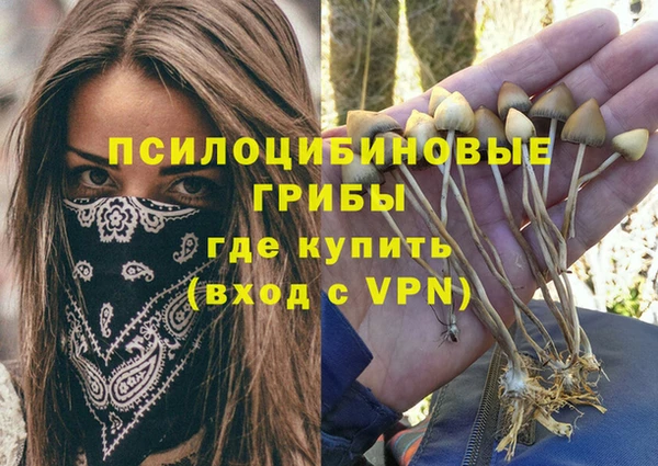 шишки Алзамай