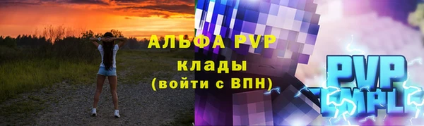 шишки Алзамай