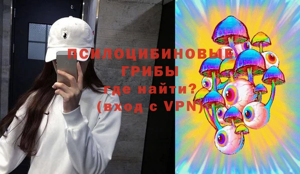 шишки Алзамай