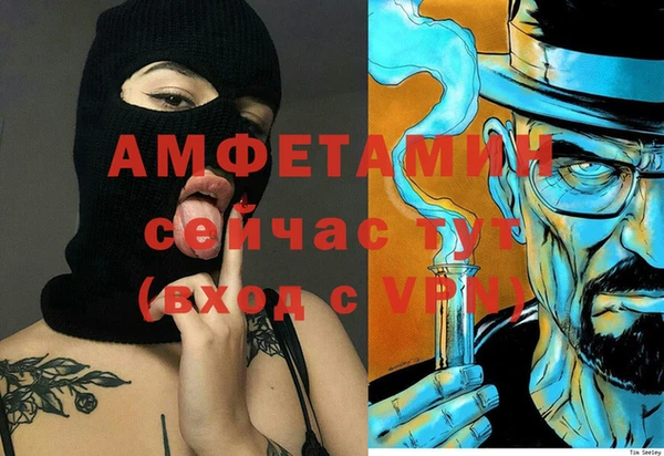 шишки Алзамай