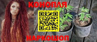 бутик Гай
