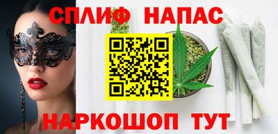 мдпв Гатчина