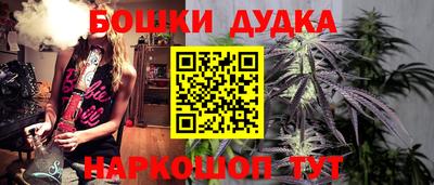 мдпв Гатчина