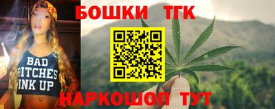 мдпв Гатчина