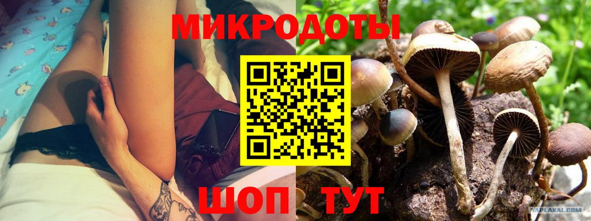 Нефтекамск  Галлюциногенные грибы мухоморы  Вход с VPN 